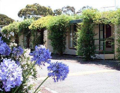 ארדיר West City Motel מראה חיצוני תמונה